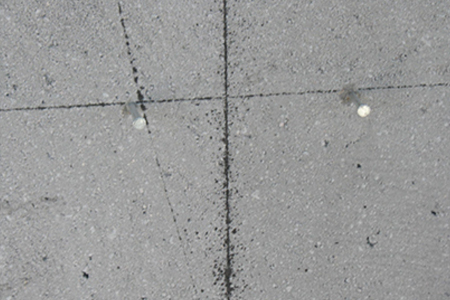 Split-the-springline